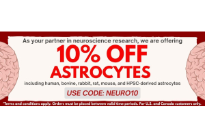 Get 10% Off on ScienCell’s Astrocytes!